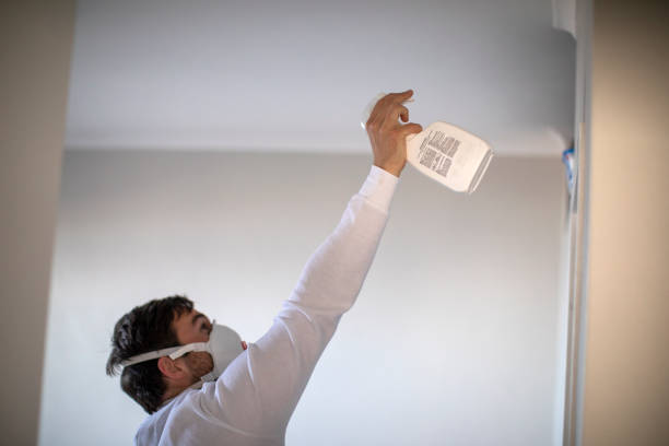 Best Post-Remediation Services in Coushatta, LA