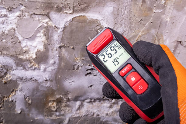 Best Emergency Mold Remediation in Coushatta, LA